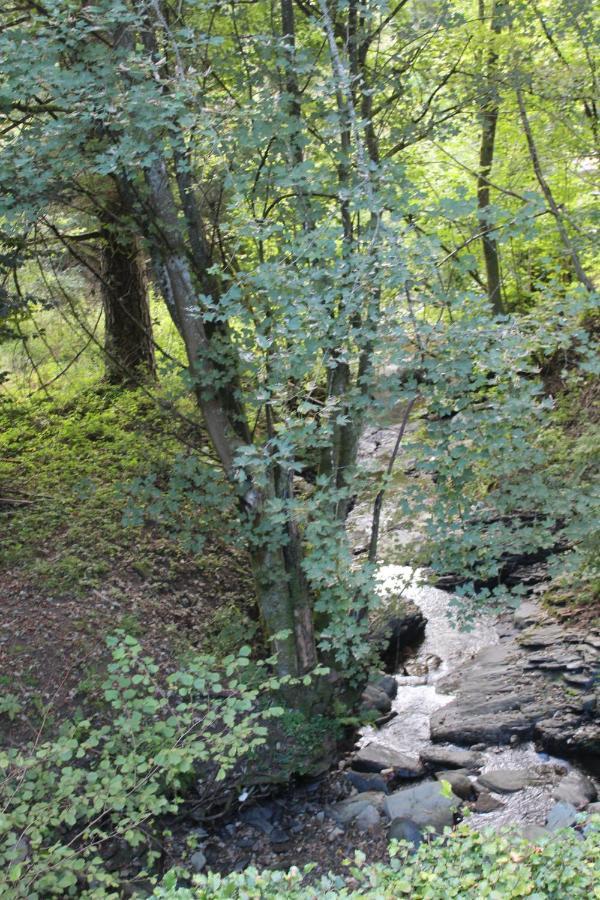 Villa Rivendell 9 Monschau Esterno foto