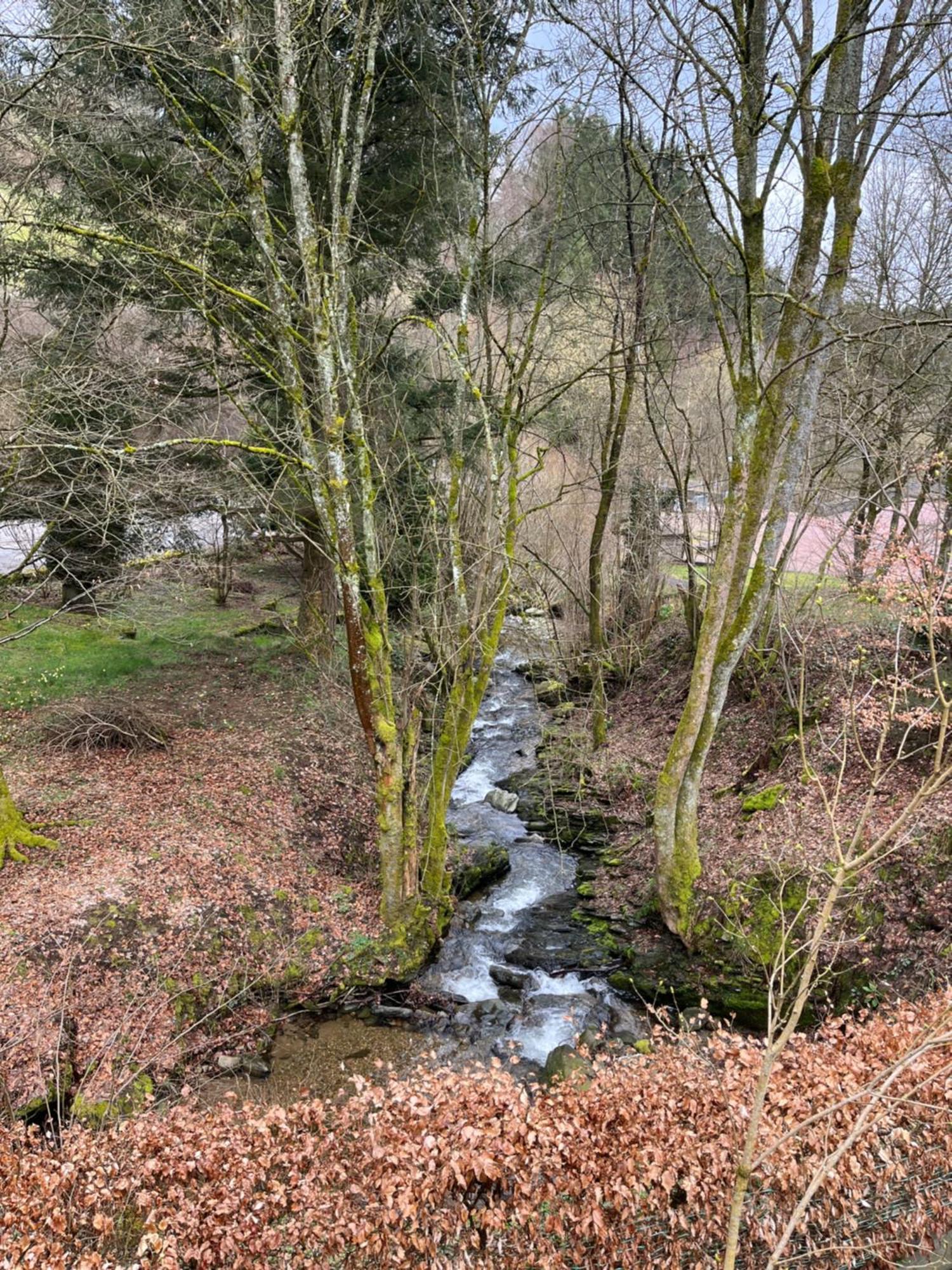 Villa Rivendell 9 Monschau Esterno foto