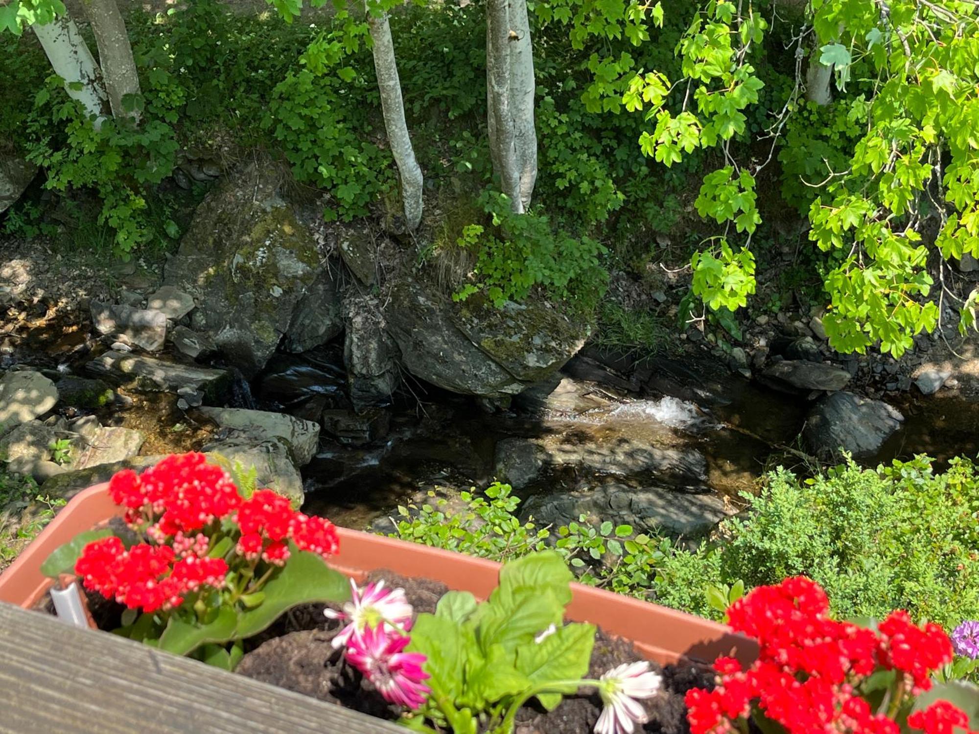 Villa Rivendell 9 Monschau Esterno foto