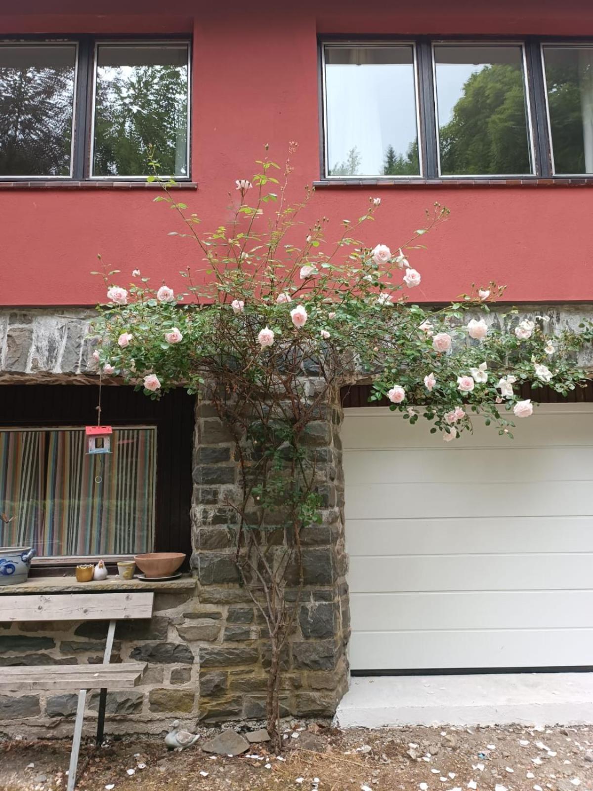 Villa Rivendell 9 Monschau Esterno foto